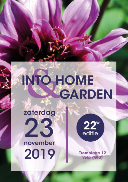 Into Home & Garden