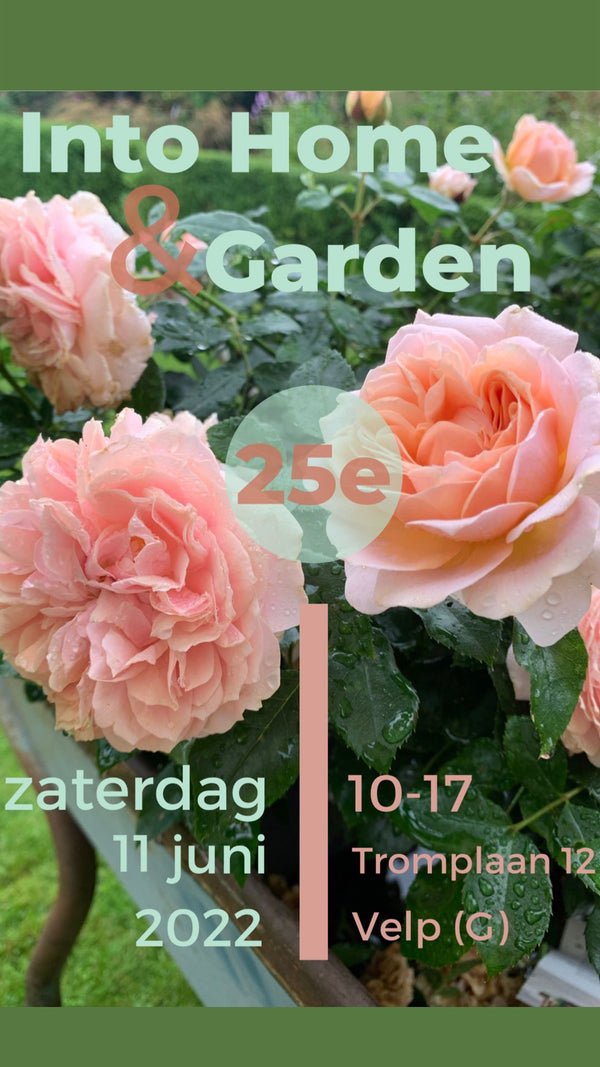 INTO HOME AND GARDEN 2022
