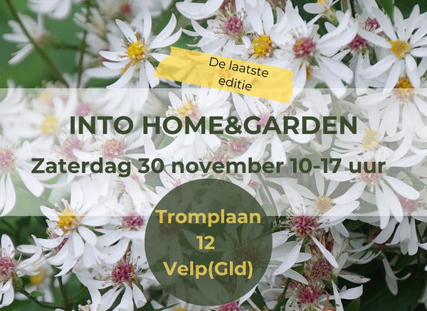 Into home & garden event 2024