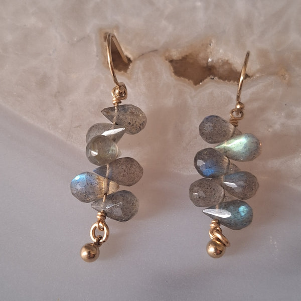 Oorbel labradoriet trosje