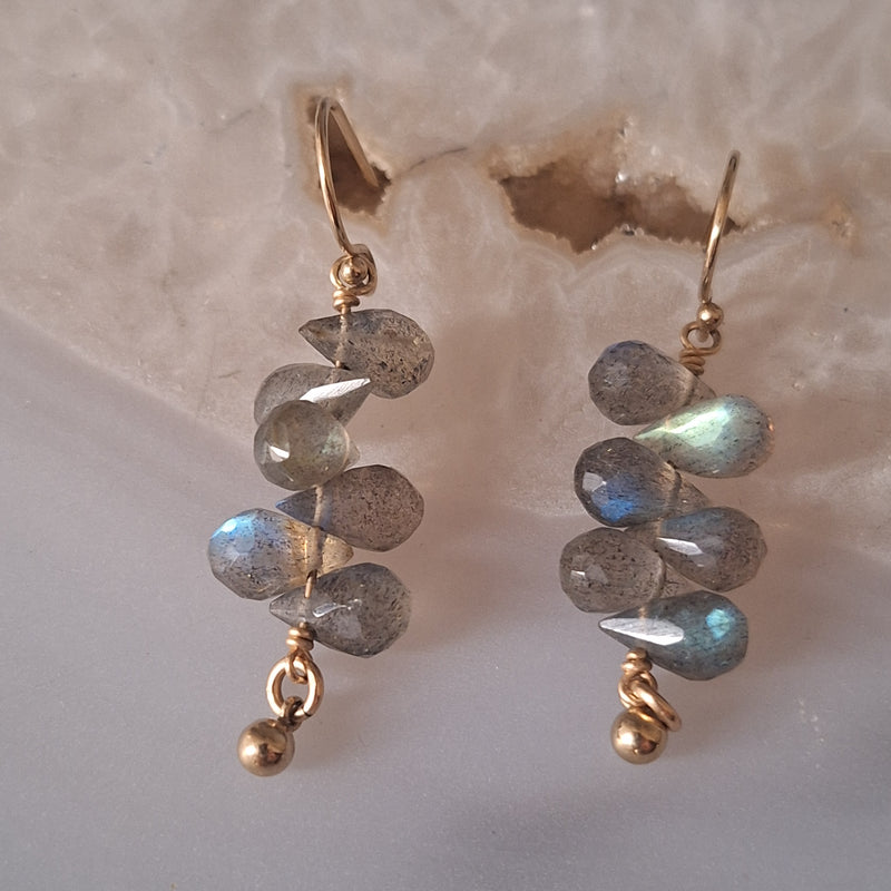 Oorbel labradoriet trosje