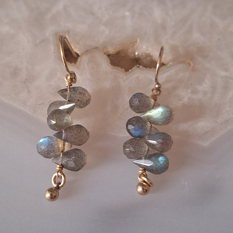 Oorbel labradoriet trosje